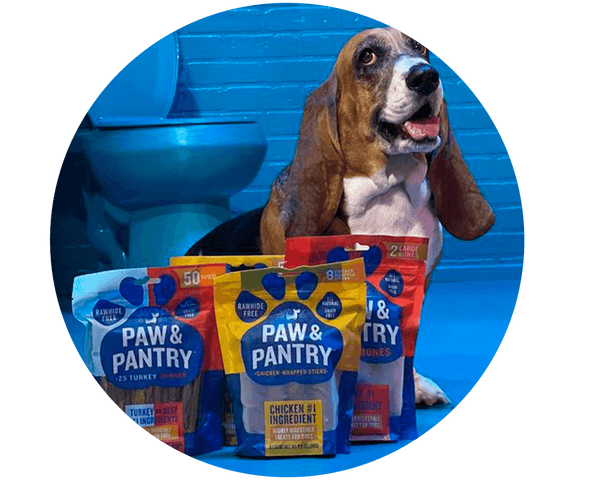 Why Pet Parents Are Choosing Premium Dog Treats