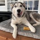 Yak Cheese Sticks Long Lasting Dog Chews Himalayan Golden Yak Cheese Large for Aggressive Chewers 2pk 7oz For Large Dogs