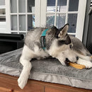 Yak Cheese Sticks Long Lasting Dog Chews Himalayan Golden Yak Cheese Large for Aggressive Chewers 2pk 7oz For Large Dogs