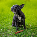 USA Sourced Chicken-Wrapped Sticks Rawhide-Free For Small Dogs and Medium Dogs 5" 1pck